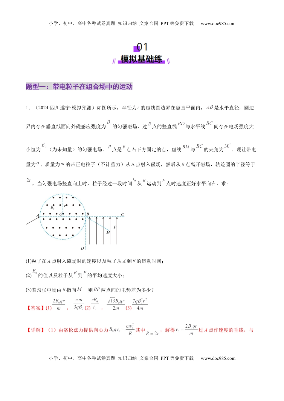 高考物理复习  专题11 带电粒子在复合场中的运动（练习）（解析版）.docx