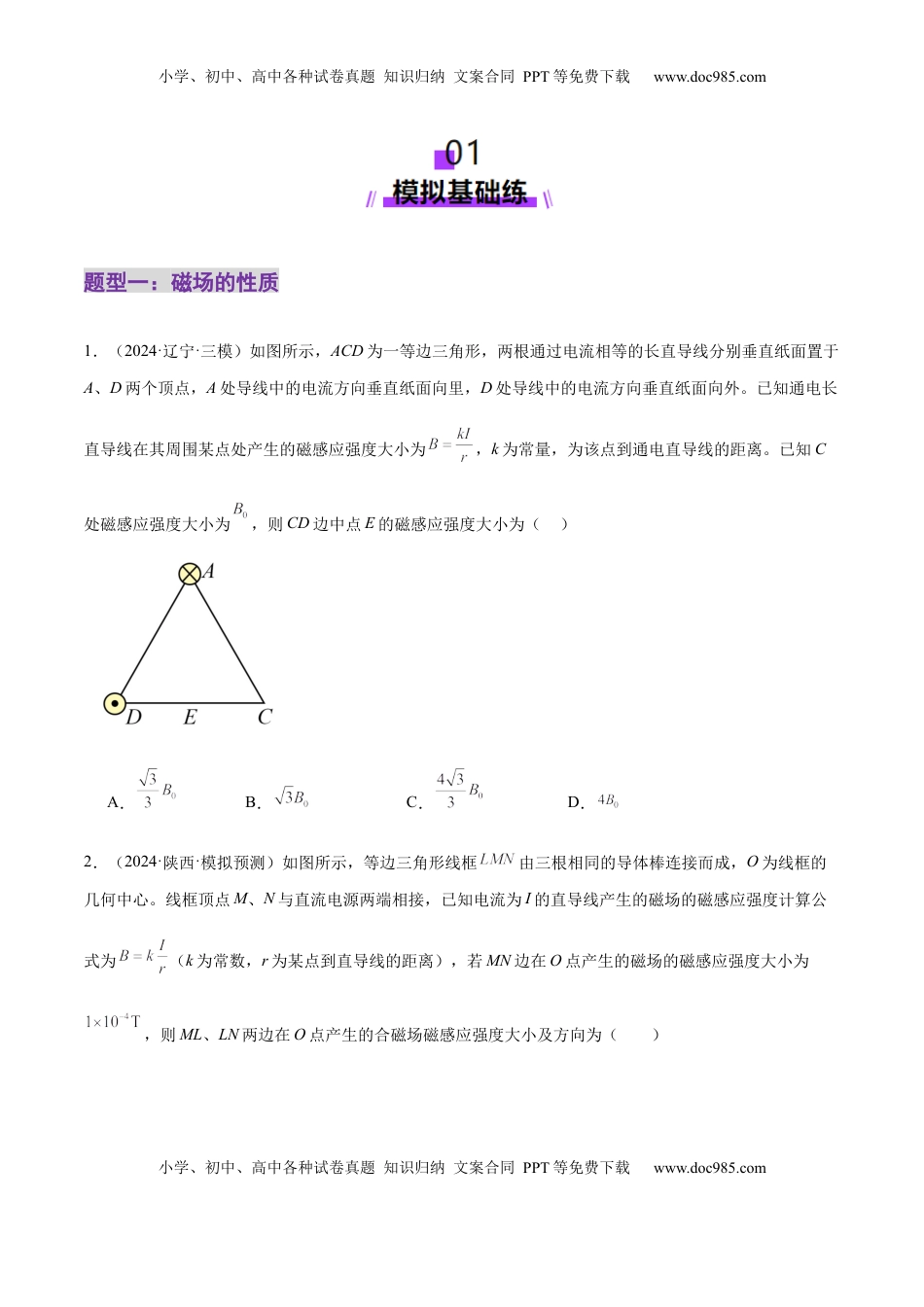 高考物理复习  专题10 磁场 带电粒子在磁场中的运动（练习）（原卷版）.docx