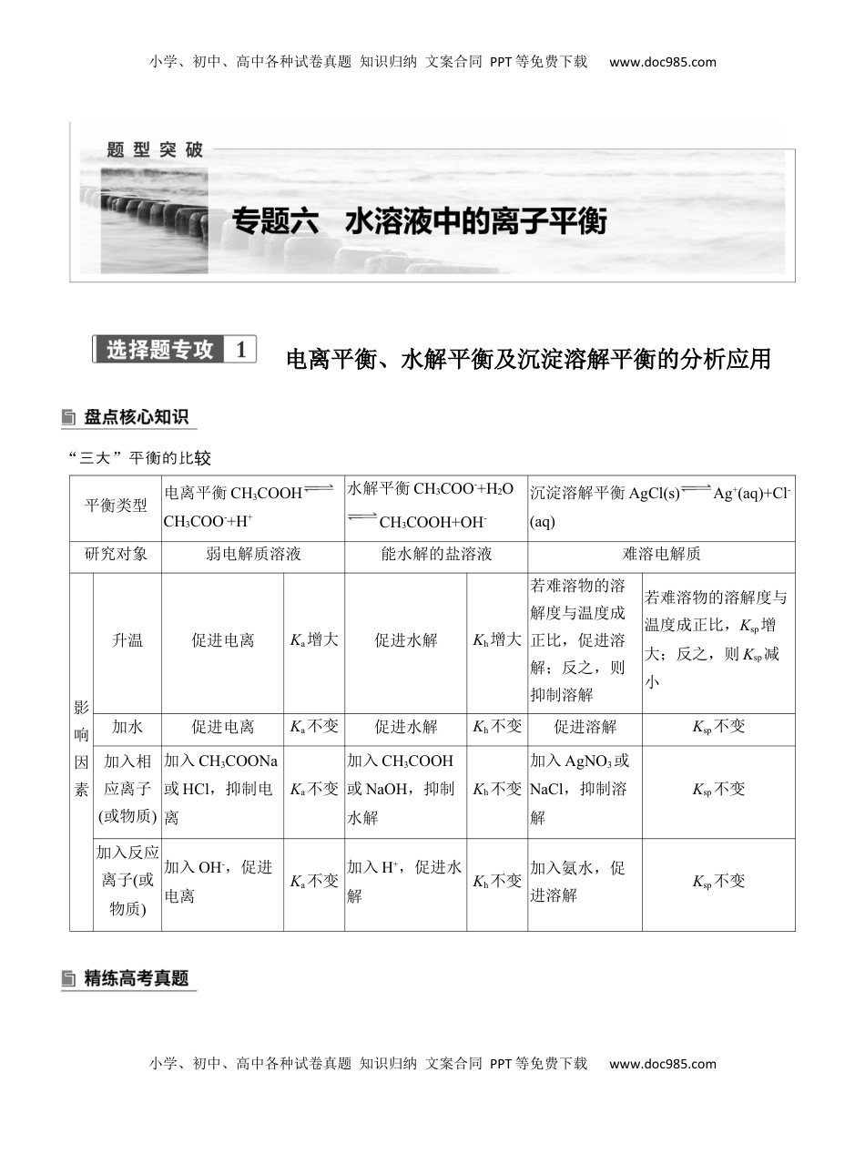 高考化学复习  专题六　选择题专攻1　电离平衡、水解平衡及沉淀溶解平衡的分析应用【淘宝店：红太阳资料库】 (1).docx