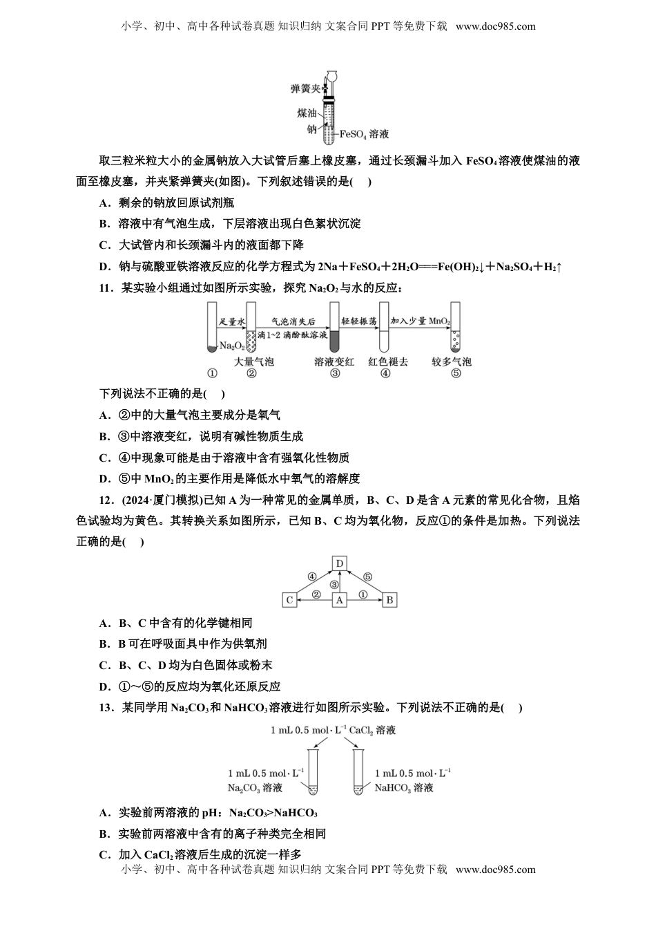 高考化学复习  2025年高考复习化学课时检测十三：钠及其化合物的基本知能评价（含解析）.doc