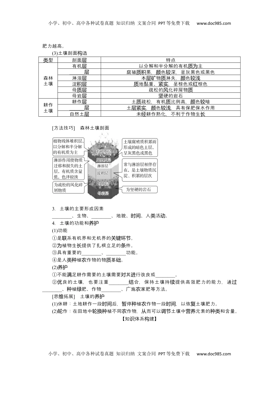 高考地理复习  2025届高中地理人教版一轮复习第38课时导学案：土壤.docx