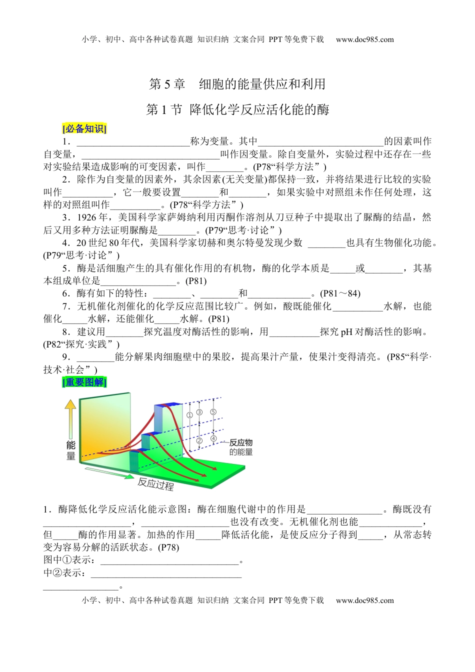 高考生物复习  第5章 细胞的能量供应和利用（填空版）.docx