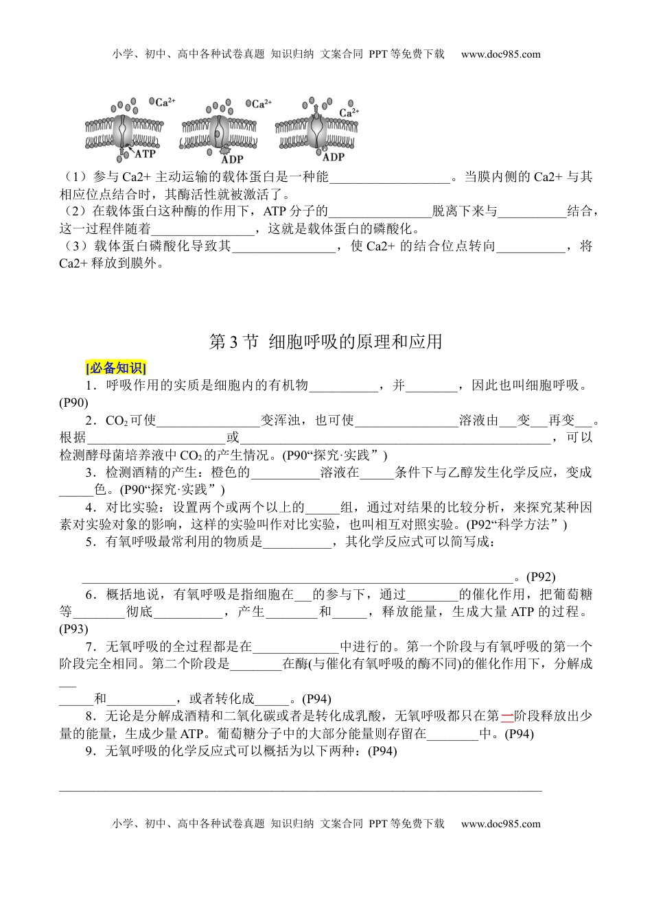 高考生物复习  第5章 细胞的能量供应和利用（填空版）.docx
