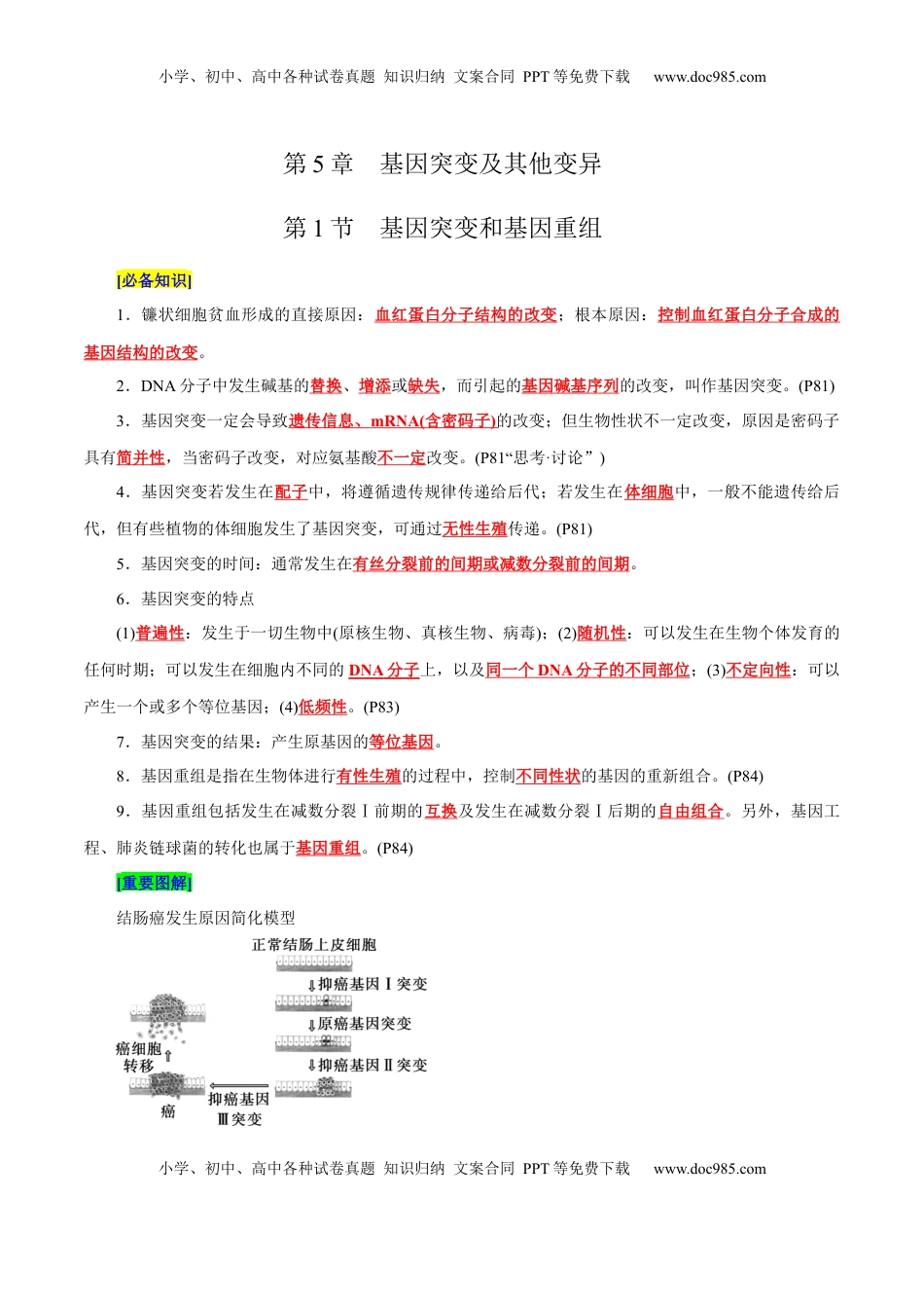 高考生物复习  第5章 基因突变及其他变异（背诵版）.docx