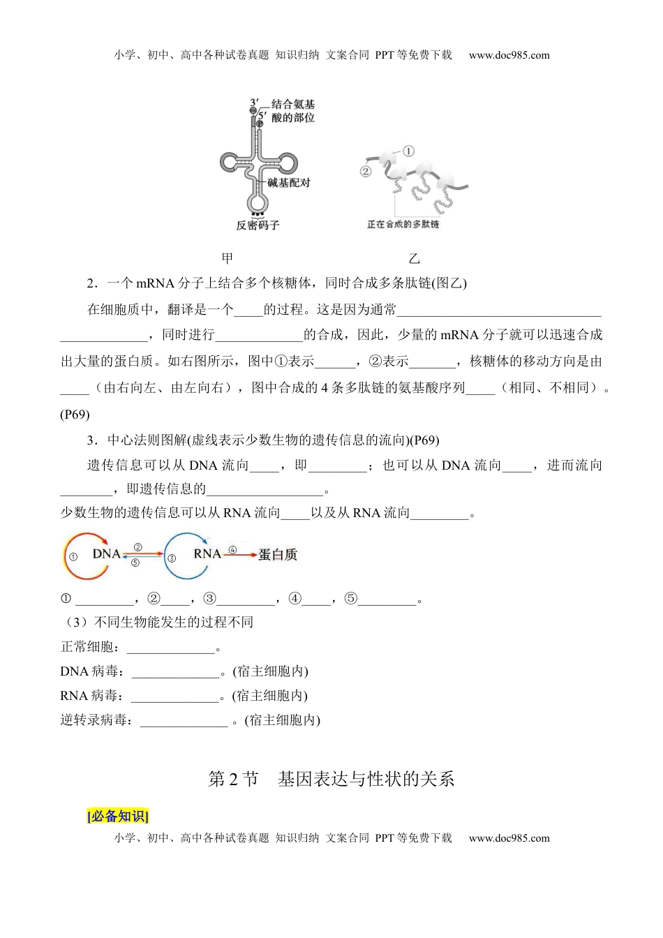 高考生物复习  第4章 基因的表达（填空版）.docx