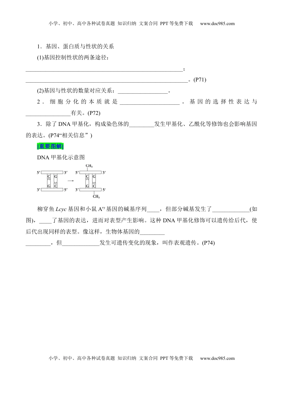高考生物复习  第4章 基因的表达（填空版）.docx