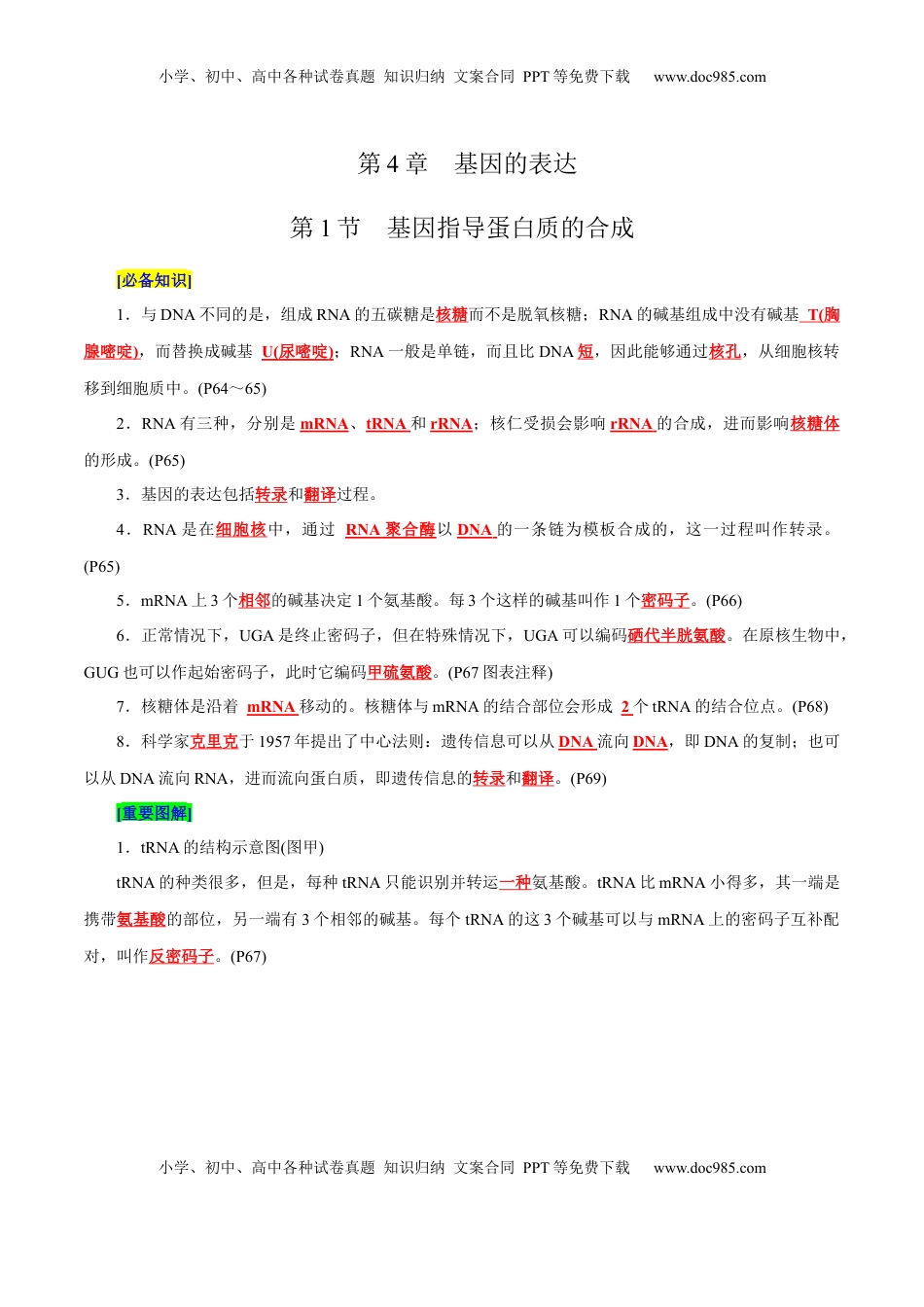 高考生物复习  第4章 基因的表达（背诵版）.docx
