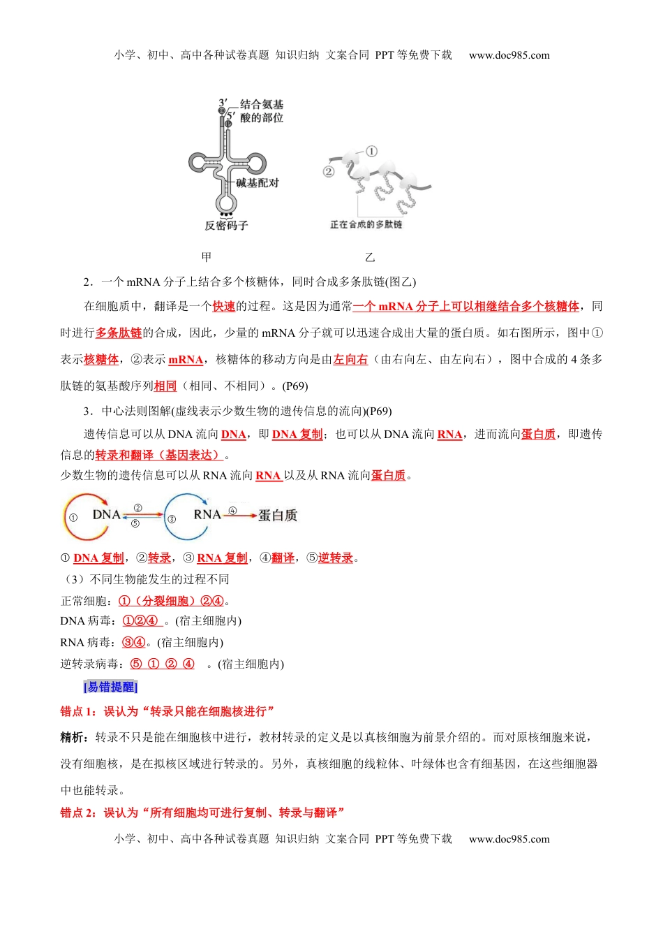 高考生物复习  第4章 基因的表达（背诵版）.docx