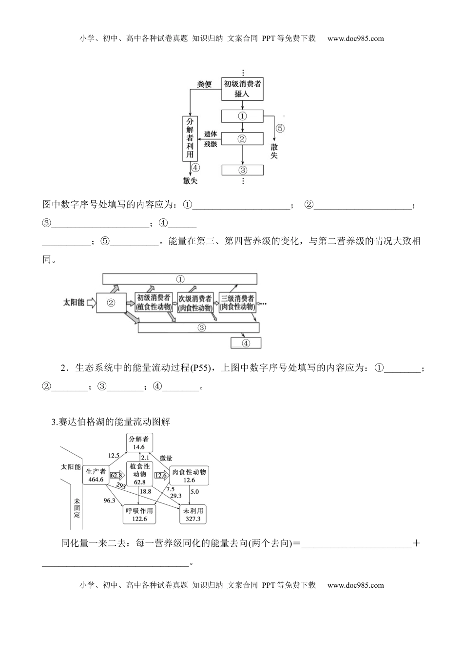 高考生物复习  第3章 生态系统及其稳定性（填空版）.docx