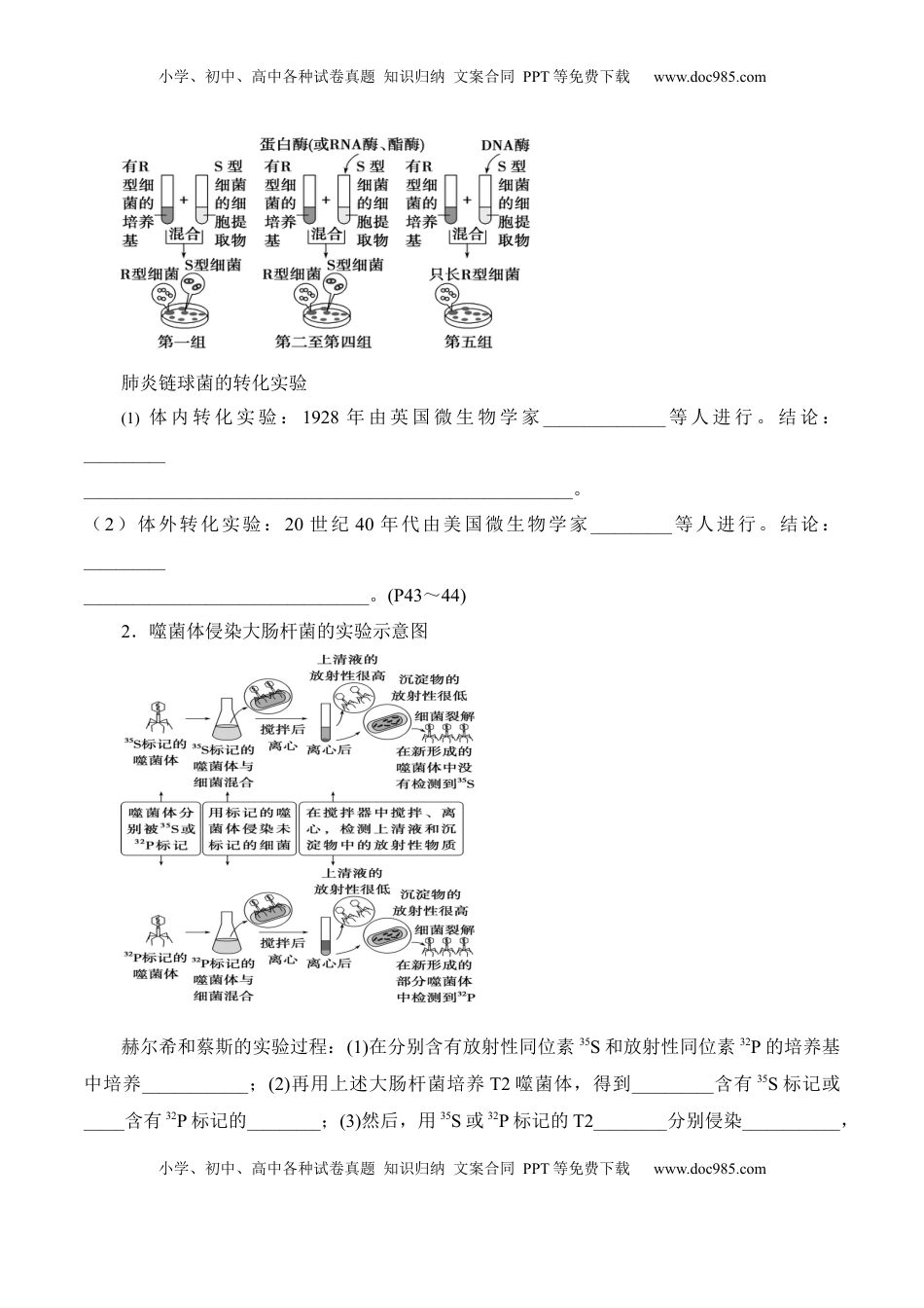 高考生物复习  第3章 基因的本质（填空版）.docx