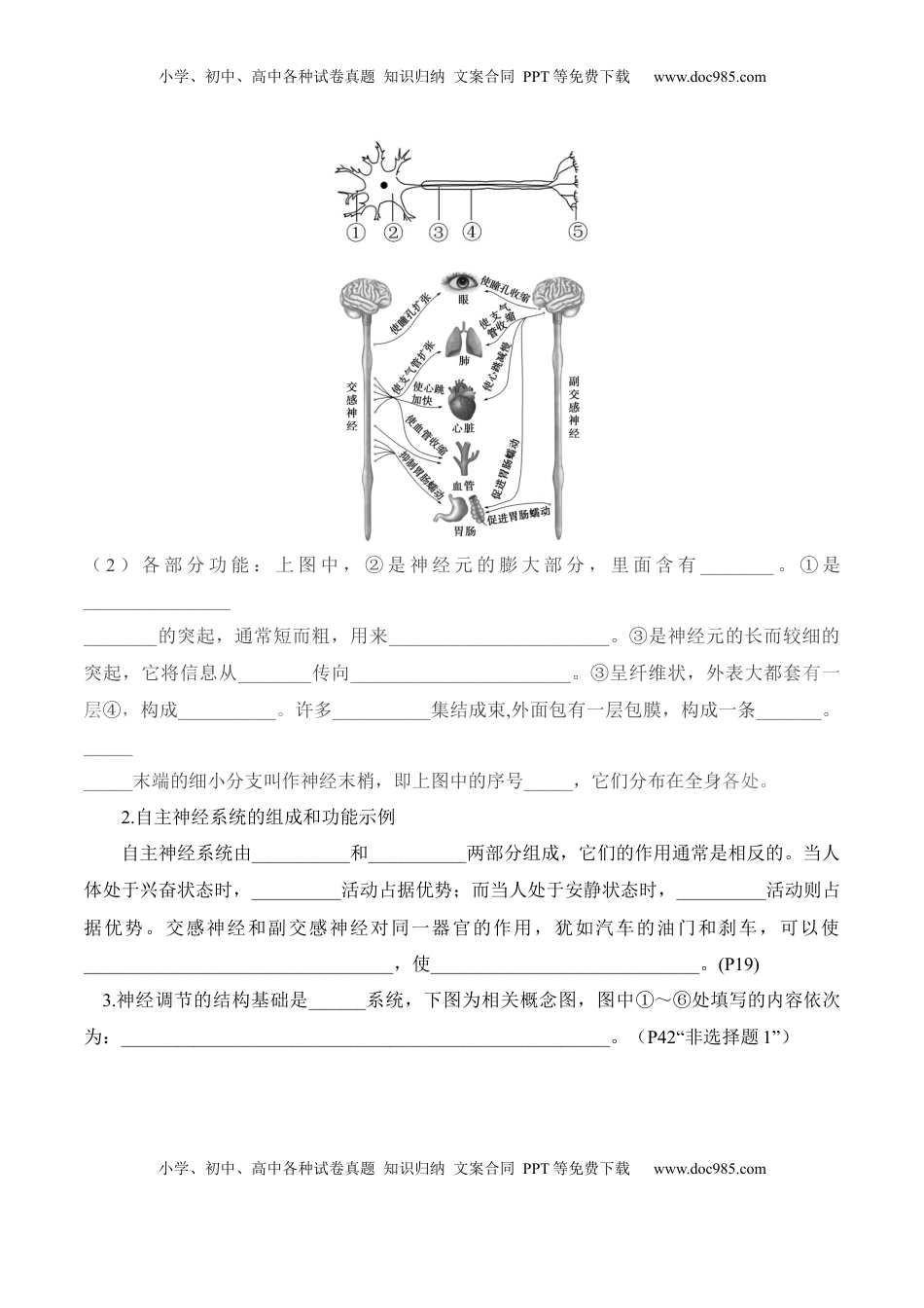 高考生物复习  第2章 神经调节（填空版）.docx
