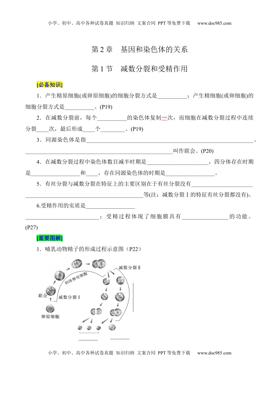 高考生物复习  第2章 基因和染色体的关系（填空版）.docx
