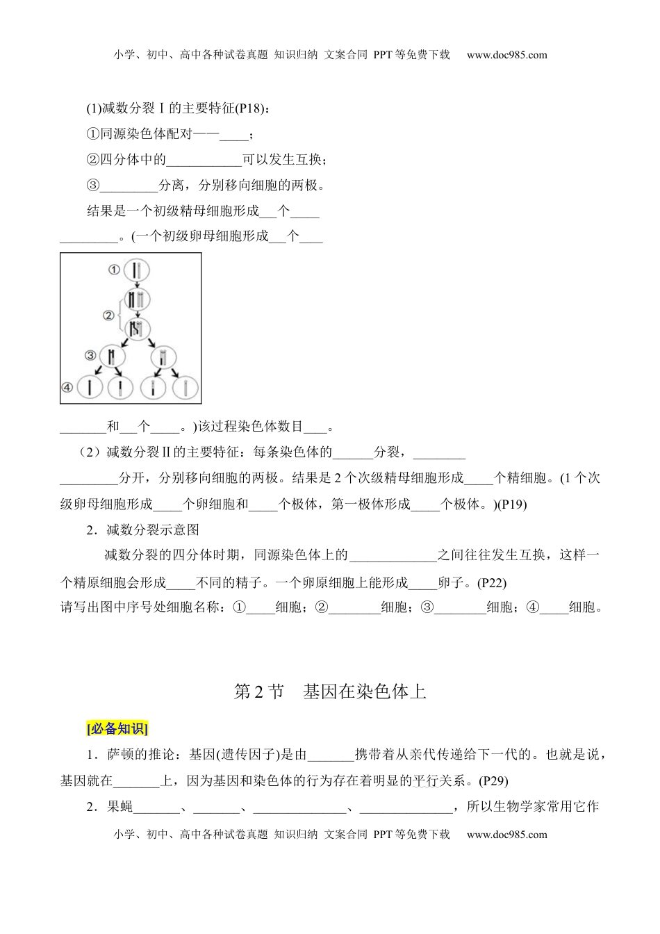 高考生物复习  第2章 基因和染色体的关系（填空版）.docx