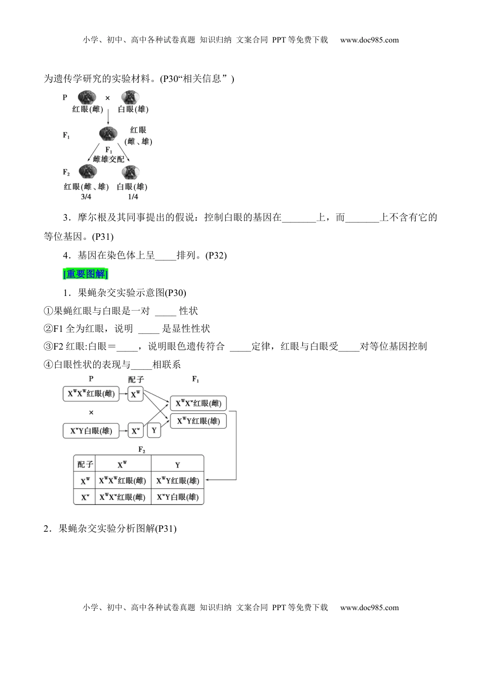 高考生物复习  第2章 基因和染色体的关系（填空版）.docx