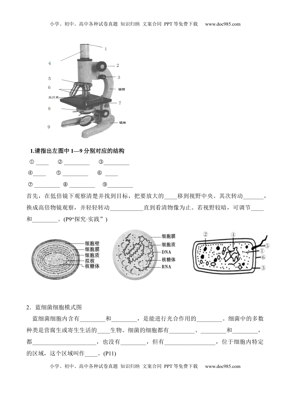 高考生物复习  第1章 走近细胞（填空版）.docx
