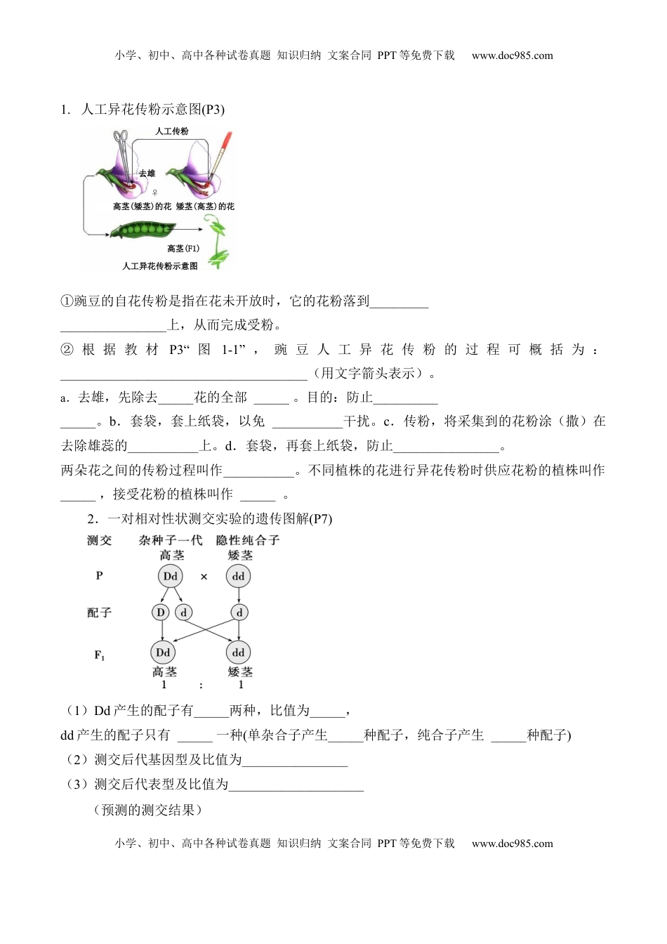 高考生物复习  第1章 遗传因子的发现（填空版）.docx