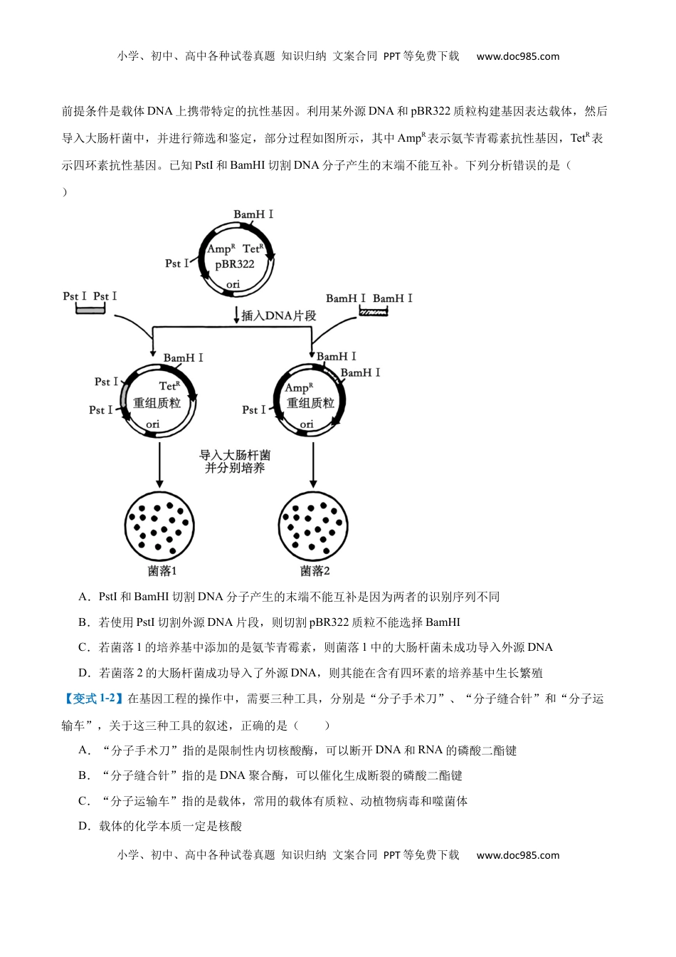 高考生物复习  专题19 基因工程与生物技术安全（10大题型）（原卷版）.docx
