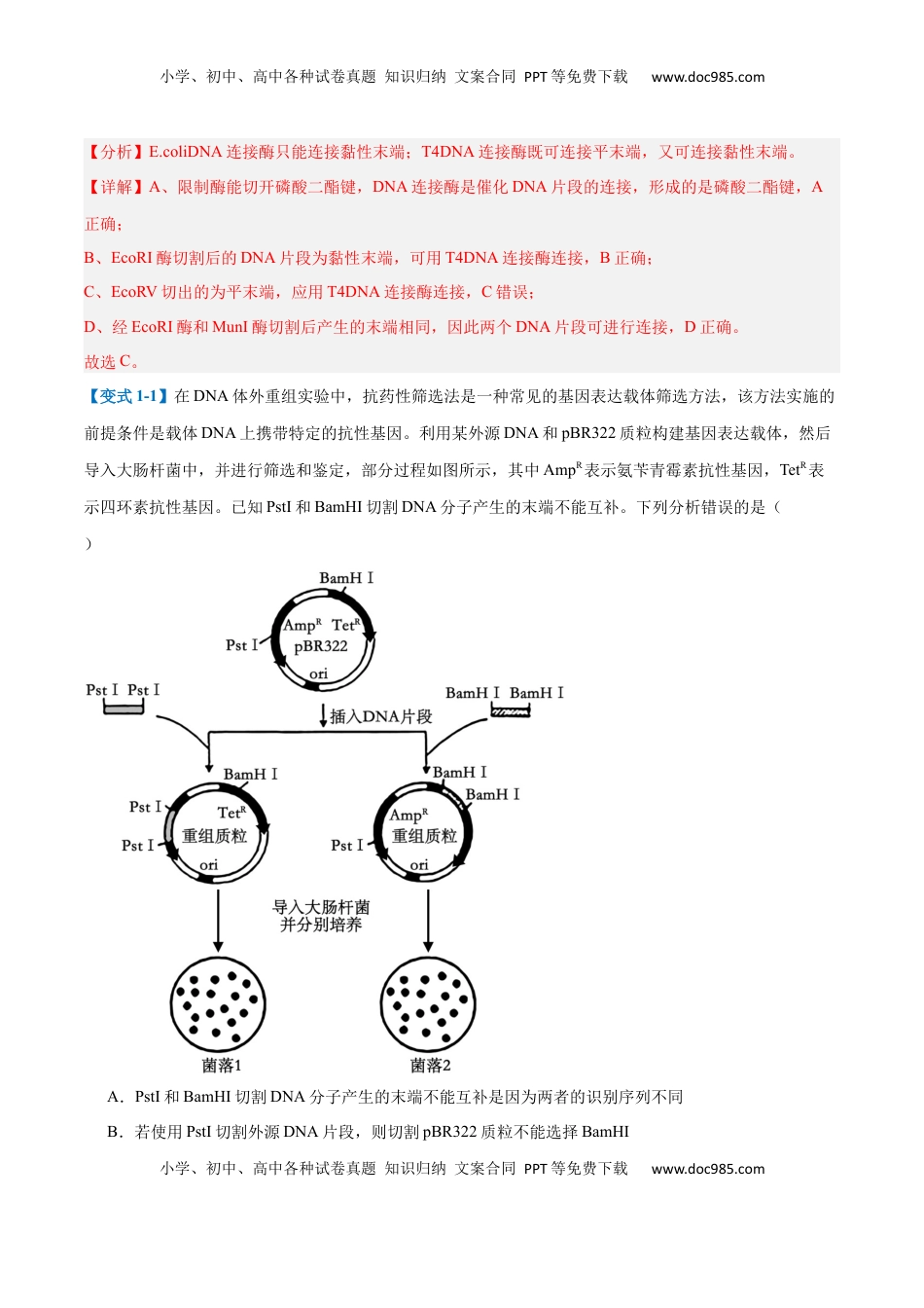 高考生物复习  专题19 基因工程与生物技术安全（10大题型）（解析版）.docx