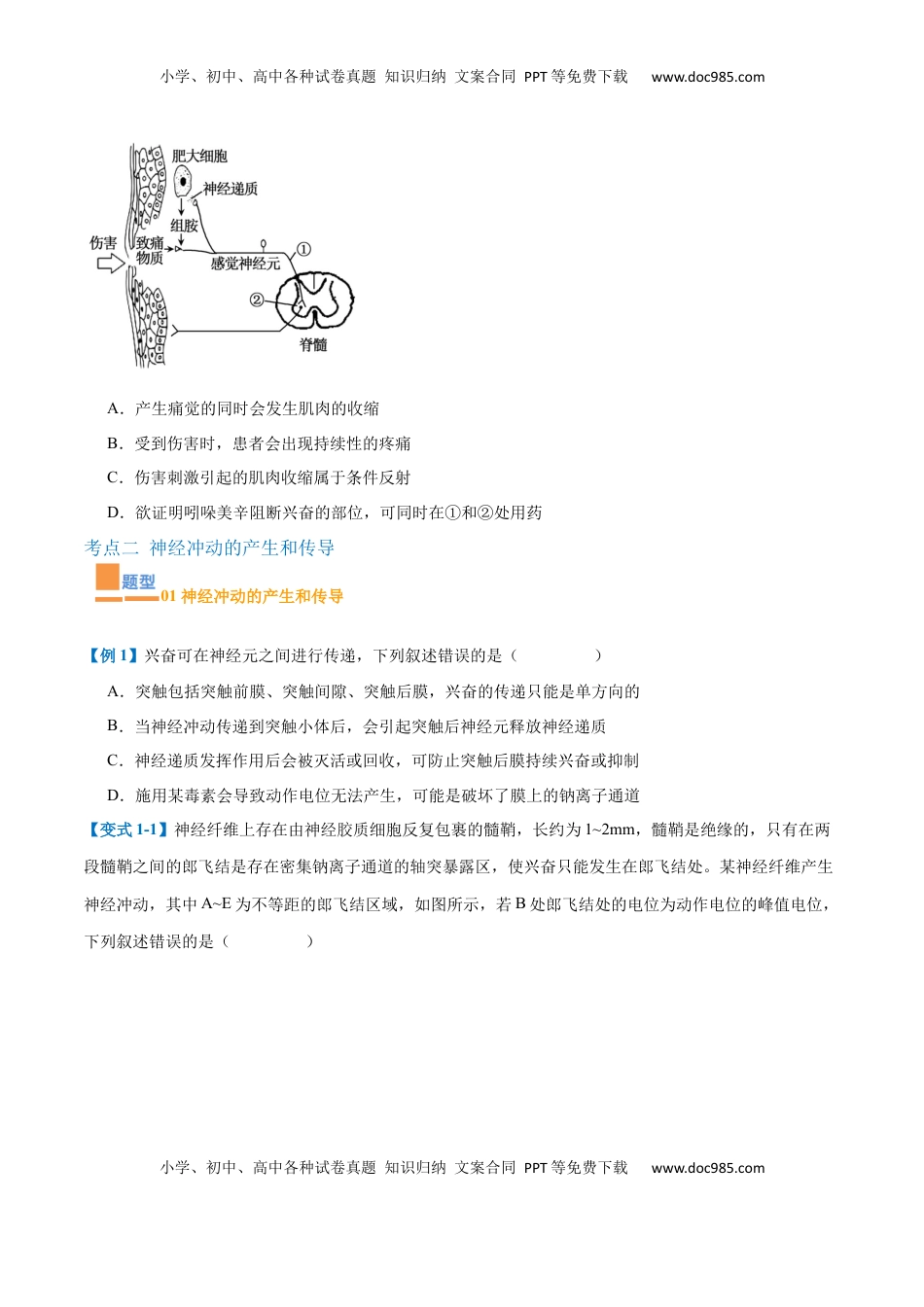 高考生物复习  专题12 神经调节（6大题型）（原卷版）.docx