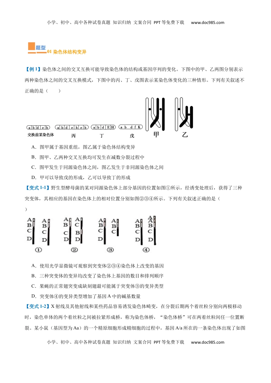 高考生物复习  专题11 生物的变异和进化（7大题型）（原卷版）.docx