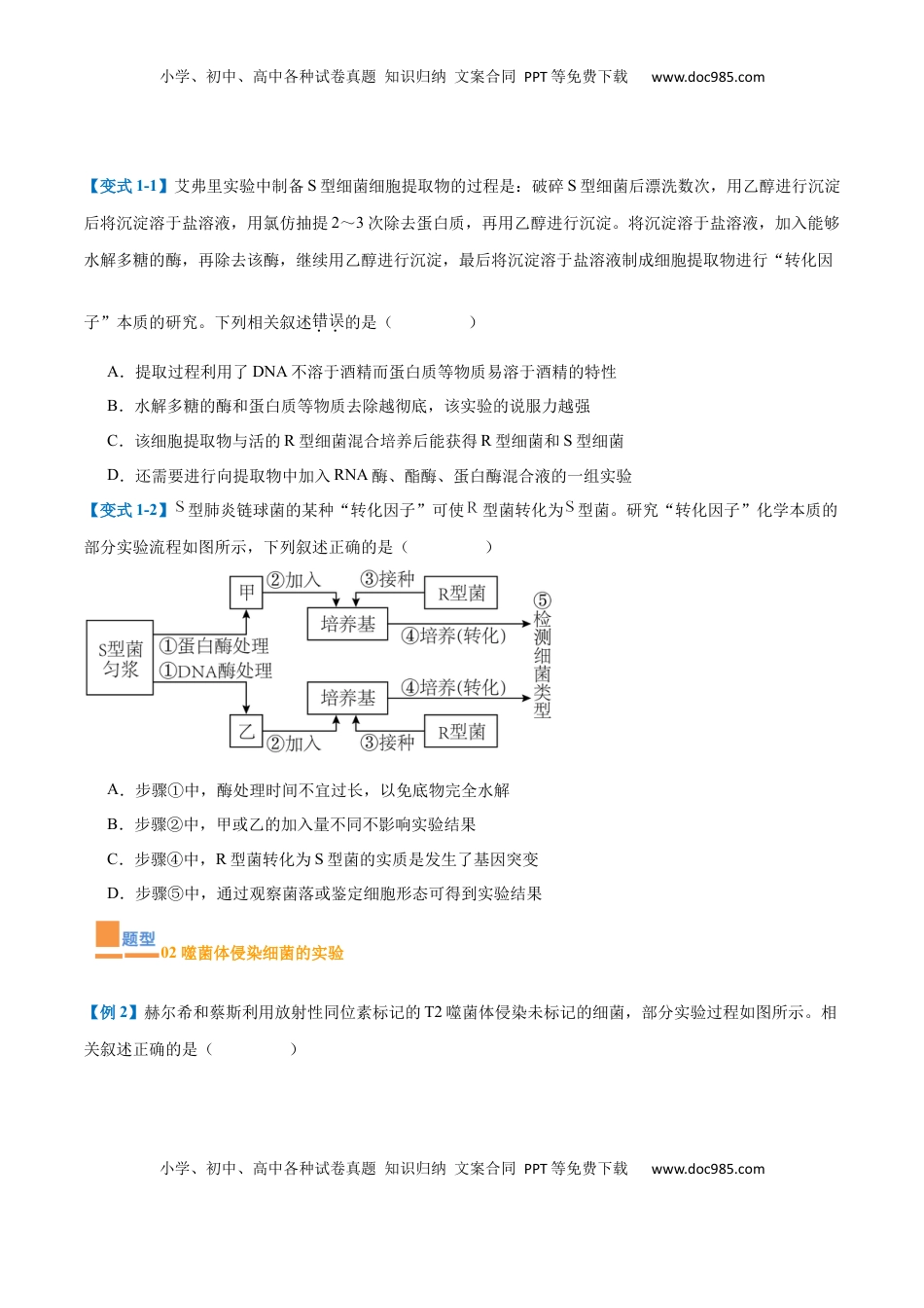 高考生物复习  专题10 遗传的物质基础（10大题型）（原卷版）.docx