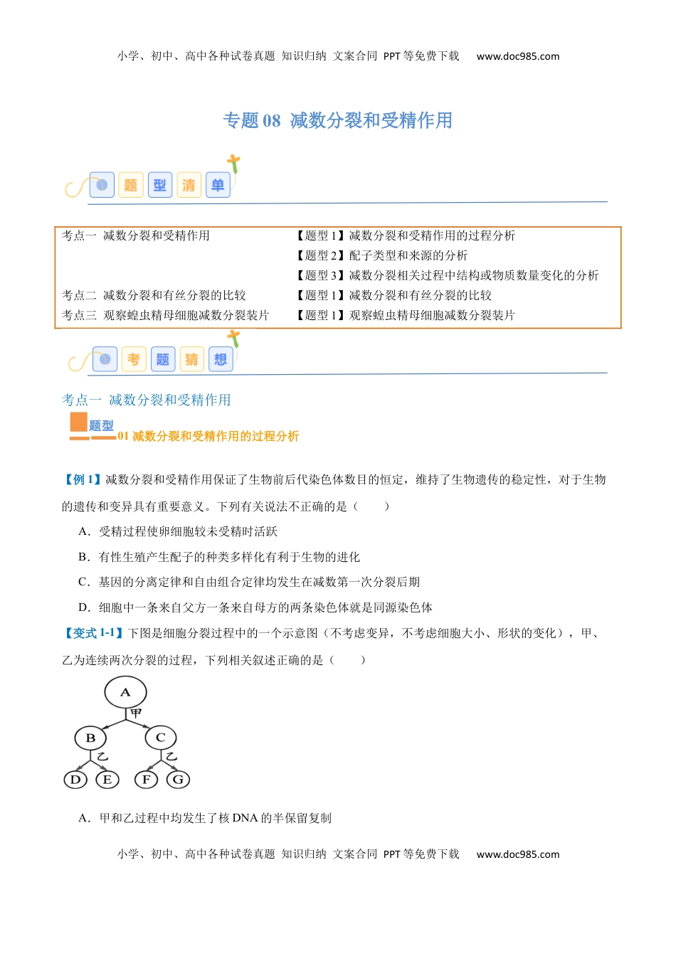 高考生物复习  专题08 减数分裂和受精作用（5大题型）（原卷版）.docx