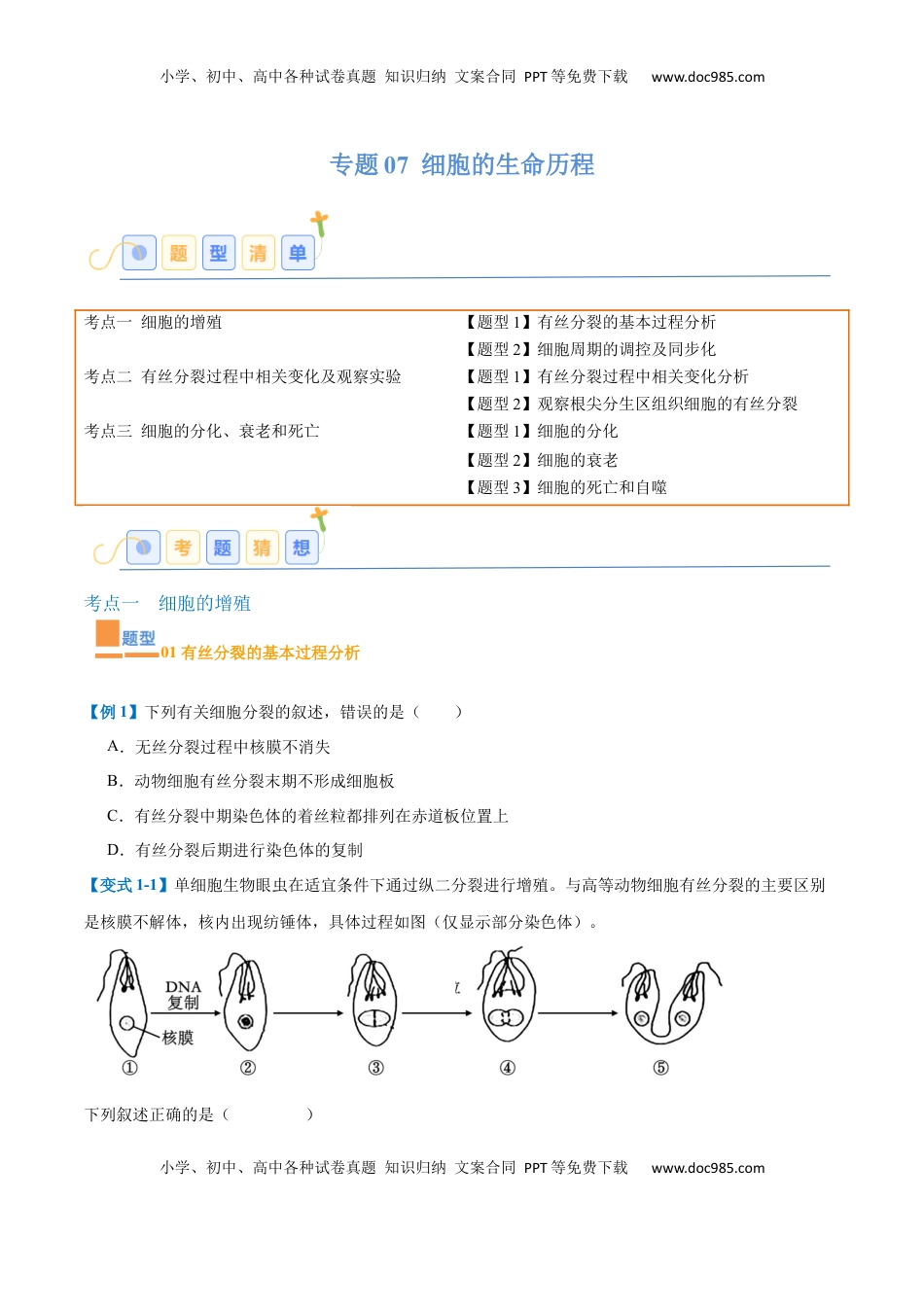高考生物复习  专题07 细胞生命历程（7大题型）（原卷版）.docx