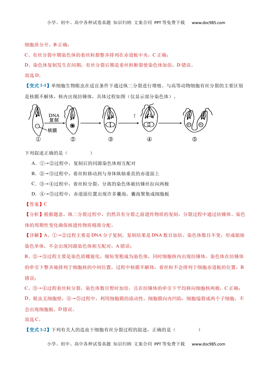 高考生物复习  专题07 细胞生命历程（7大题型）（解析版）.docx
