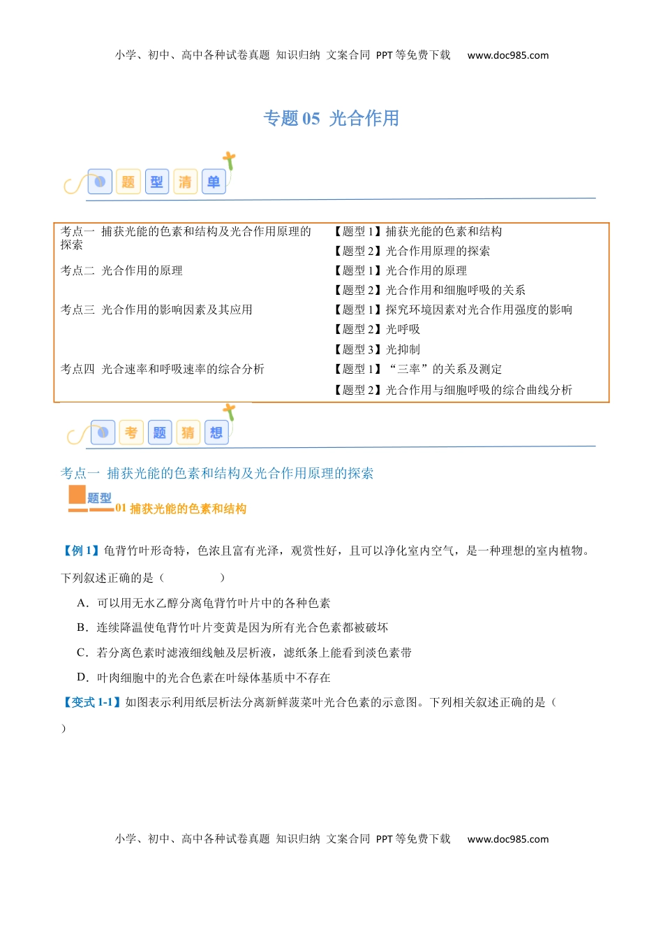 高考生物复习  专题05 光合作用（9大题型）（原卷版）.docx