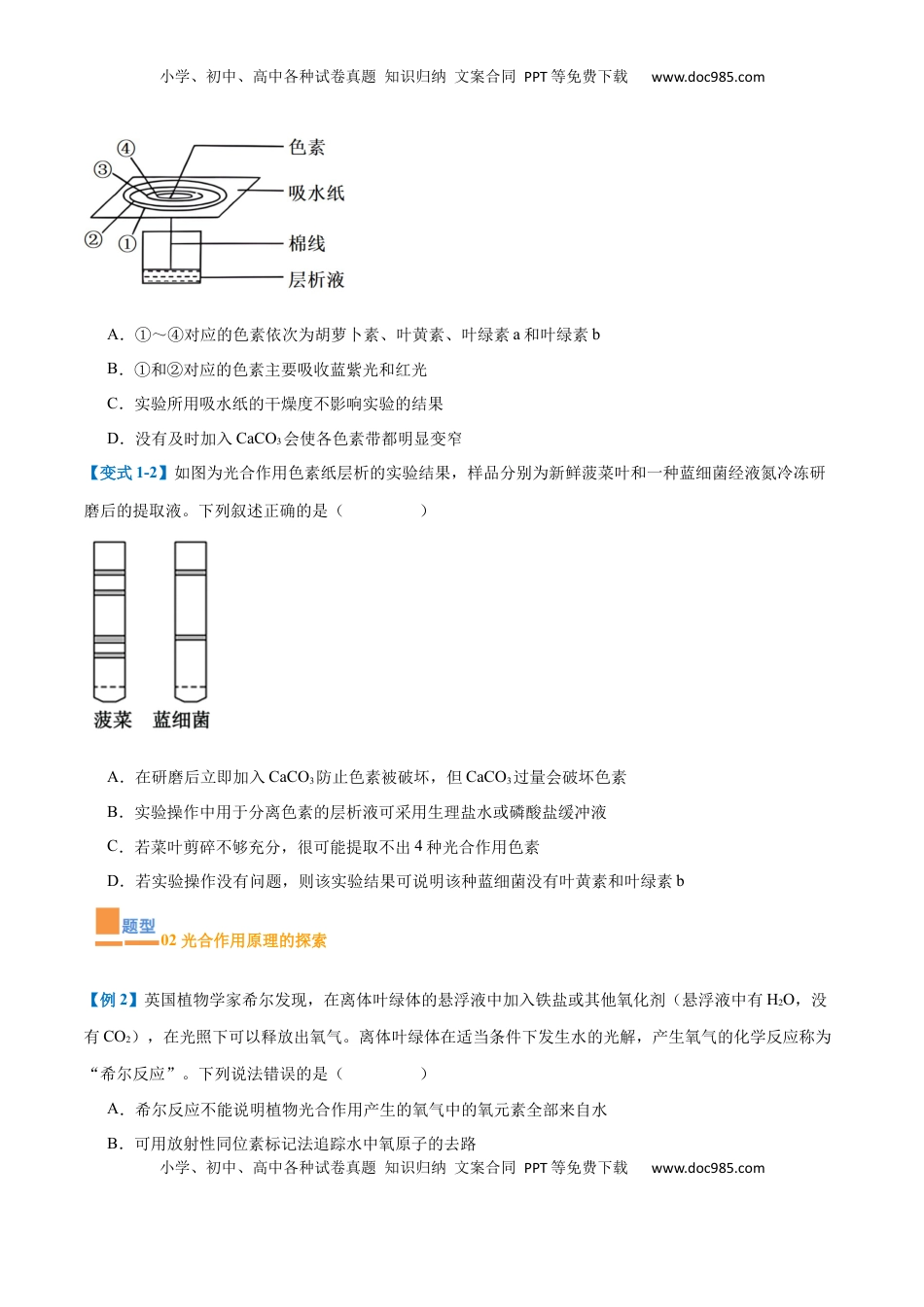 高考生物复习  专题05 光合作用（9大题型）（原卷版）.docx