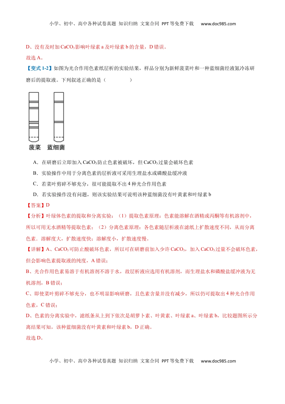 高考生物复习  专题05 光合作用（9大题型）（解析版）.docx