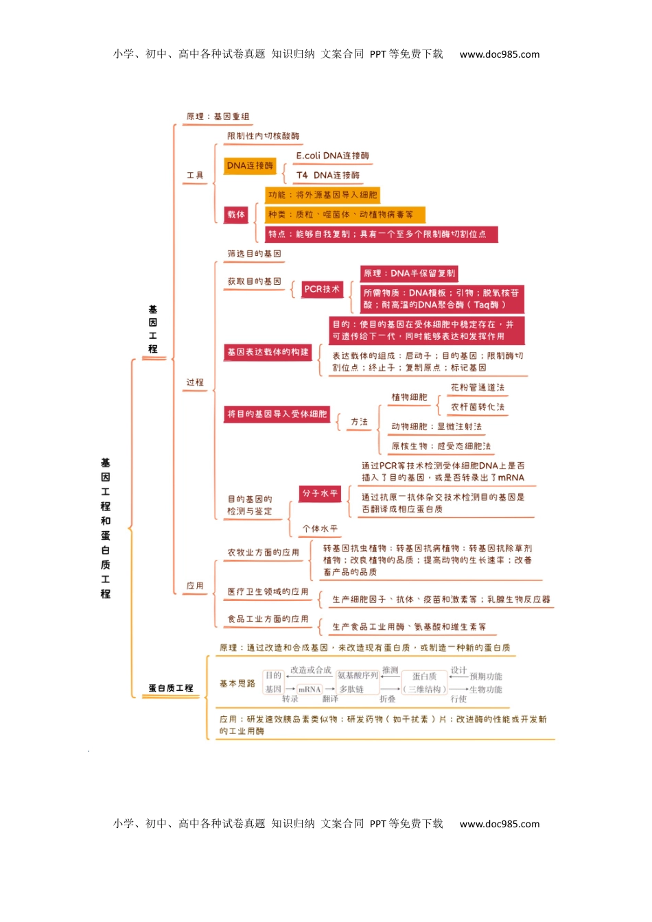 高考生物复习  知识清单37 基因工程和蛋白质工程（4大考点+10个易错点）-【上好课】2025年高考生物一轮复习知识清单.docx