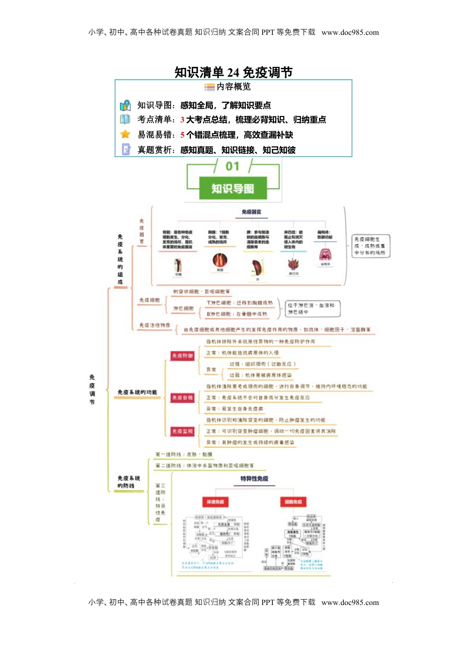 高考生物复习  知识清单24 免疫调节（3大考点 5个易错点）-【上好课】2025年高考生物一轮复习知识清单[h][47906912].docx
