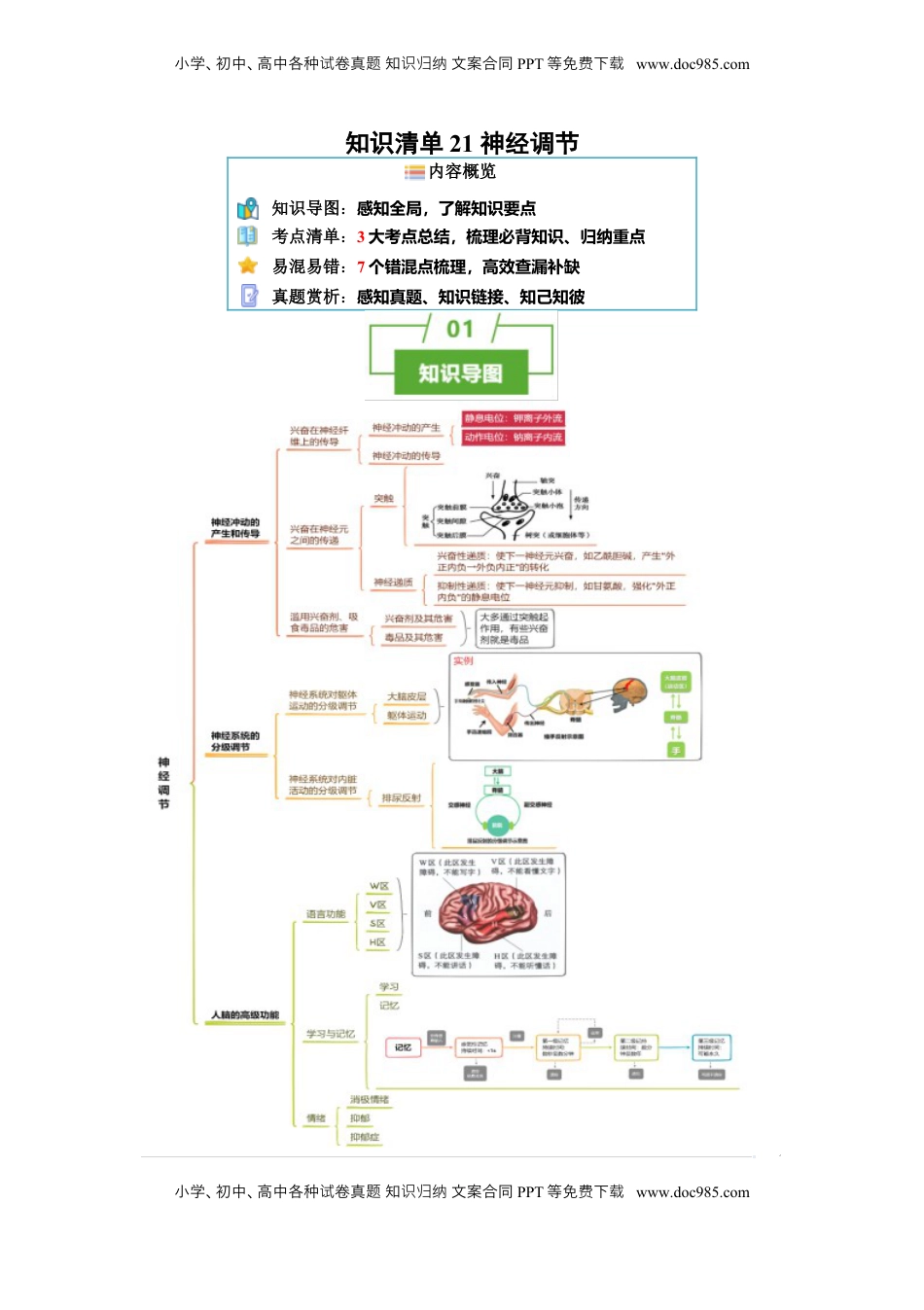 高考生物复习  知识清单21 神经调节（3大考点 7个易错点）-【上好课】2025年高考生物一轮复习知识清单[h][47459023].docx