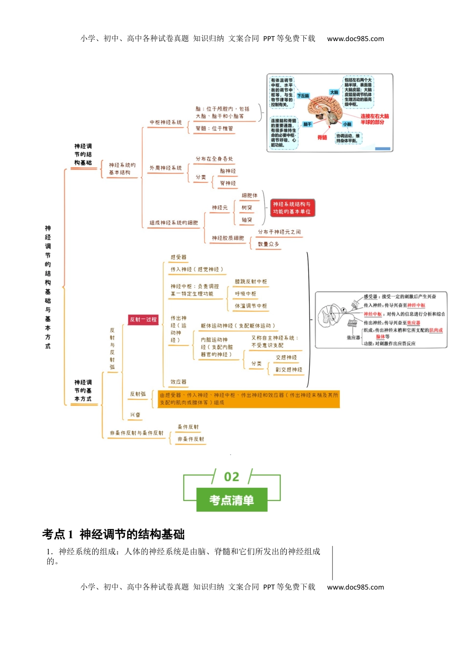 高考生物复习  知识清单20+神经调节的结构基础与基本方式（2大考点+5个易错点）-【上好课】2025年高考生物一轮复习知识清单.docx