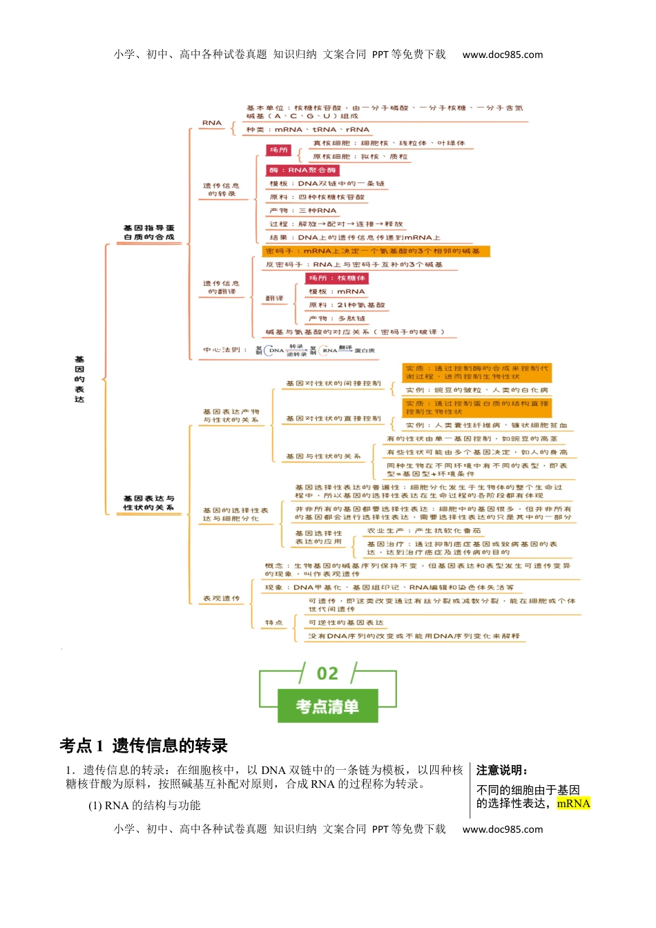 高考生物复习  知识清单16 基因的表达（3大考点 3个易错点）-【上好课】2025年高考生物一轮复习知识清单.docx