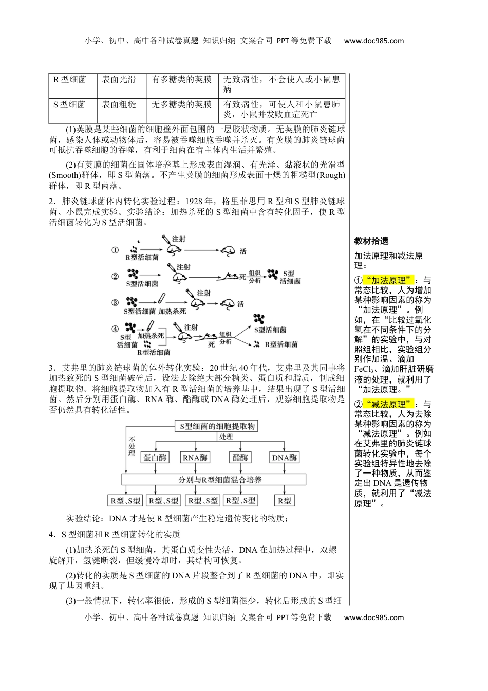 高考生物复习  知识清单14 DNA是主要的遗传物质（3大考点 4个易错点）-【上好课】2025年高考生物一轮复习知识清单.docx