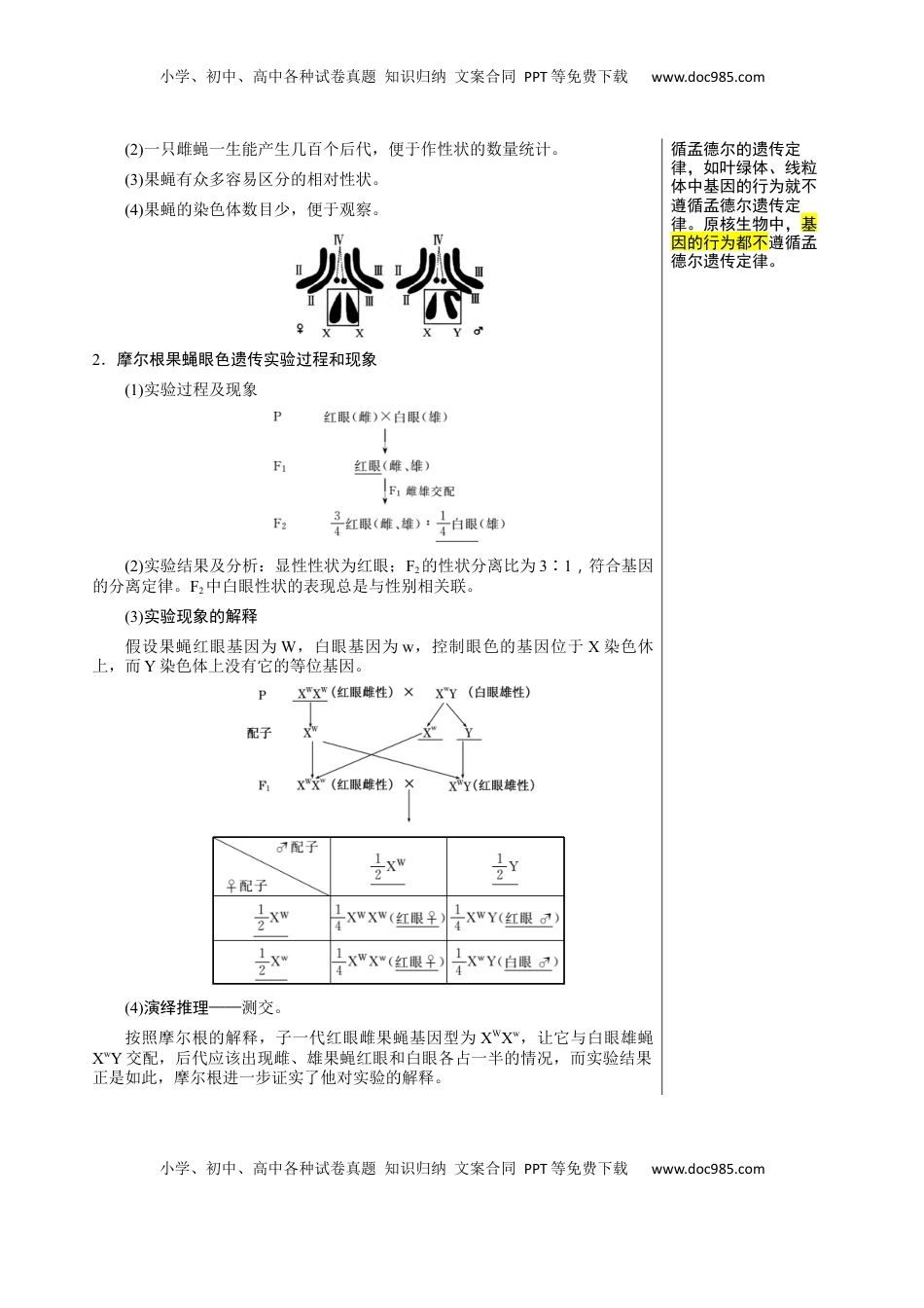 高考生物复习  知识清单13 伴性遗传和人类遗传病（4大考点 6个易错点）-【上好课】2025年高考生物一轮复习知识清单.docx