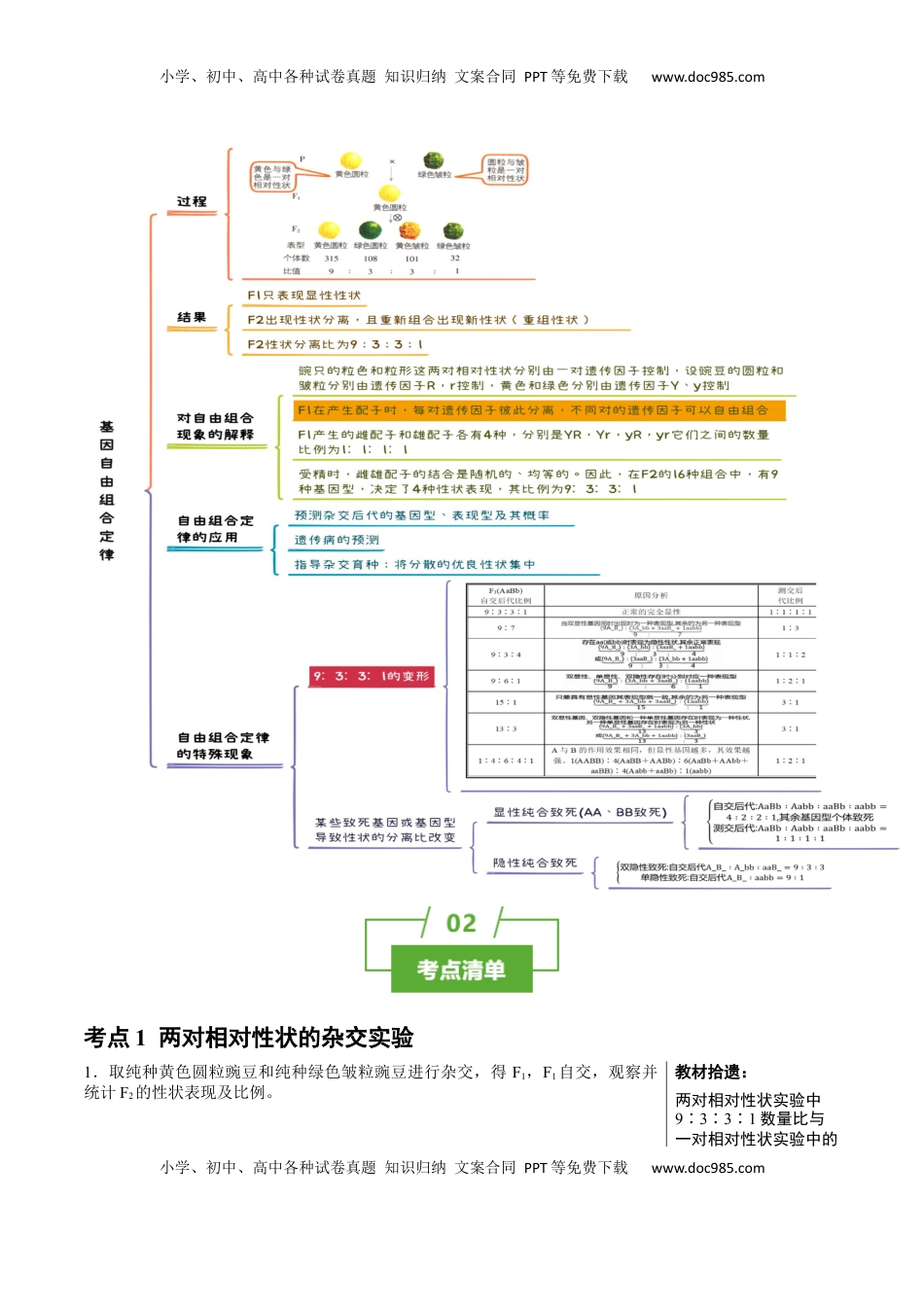 高考生物复习  知识清单12 基因自由组合定律（4大考点 3个易错点）-【上好课】2025年高考生物一轮复习知识清单.docx