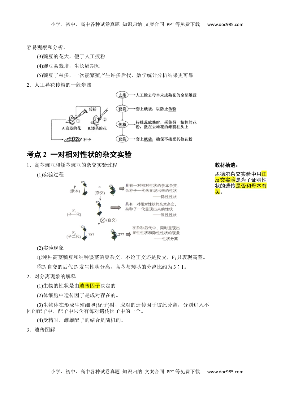 高考生物复习  知识清单11 基因分离定律（5大考点 4个易错点）-【上好课】2025年高考生物一轮复习知识清单.docx