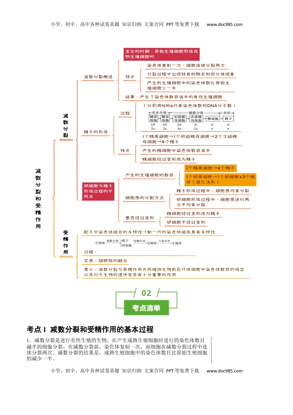 高考生物复习  知识清单10+减数分裂和受精作用（3大考点+4个易错点）-【上好课】2025年高考生物一轮复习知识清单.docx