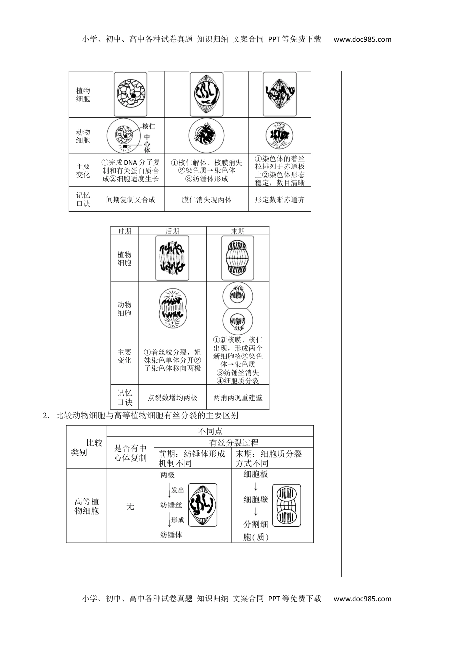高考生物复习  知识清单08+细胞的增殖（4大考点+5个易错点）-【上好课】2025年高考生物一轮复习知识清单.docx