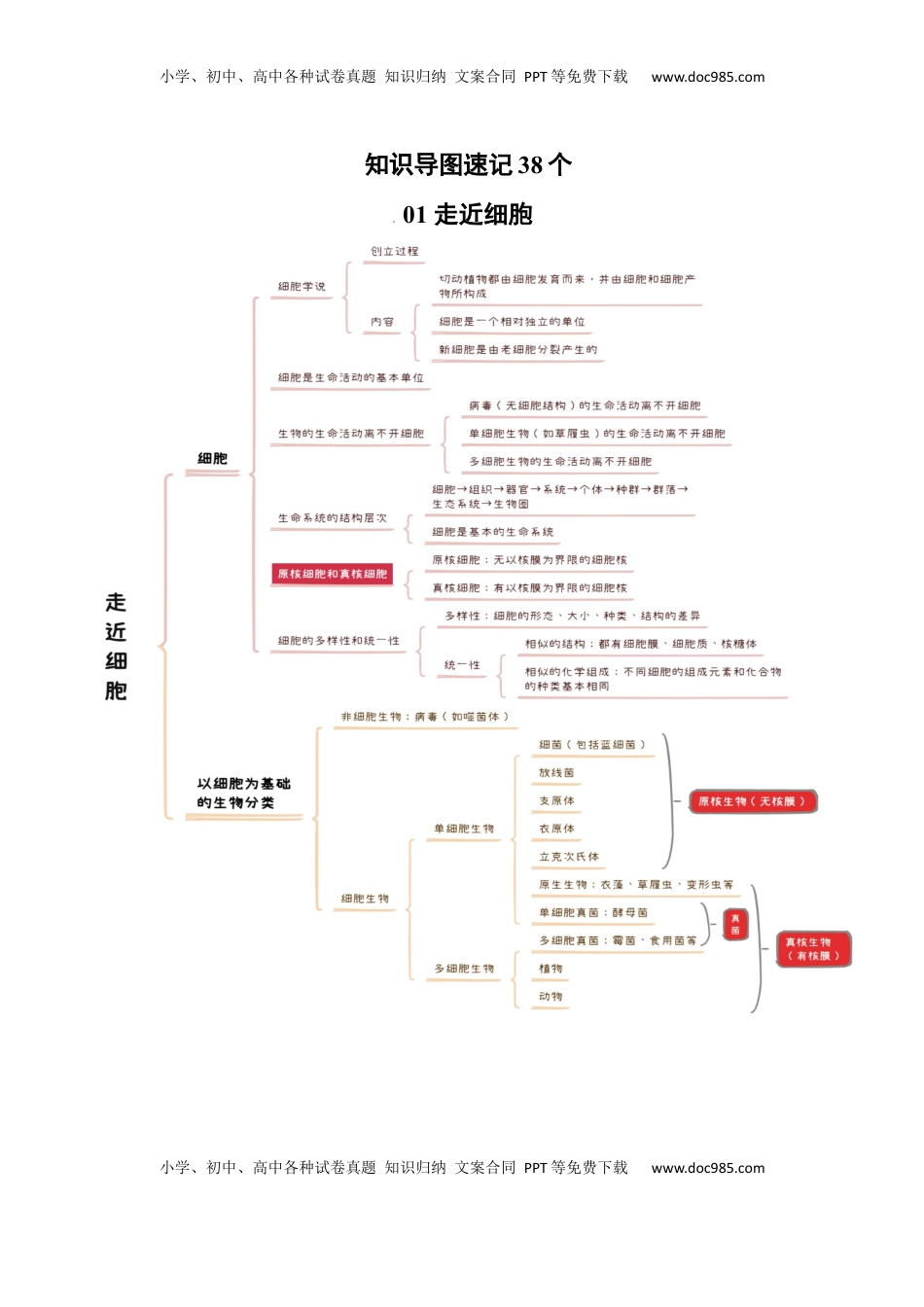 高考生物复习  知识导图速记38个-【上好课】2025年高考生物一轮复习知识清单.docx