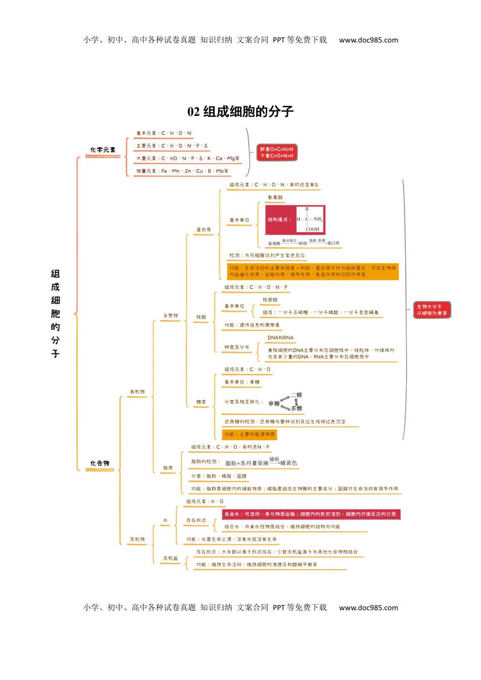 高考生物复习  知识导图速记38个-【上好课】2025年高考生物一轮复习知识清单.docx