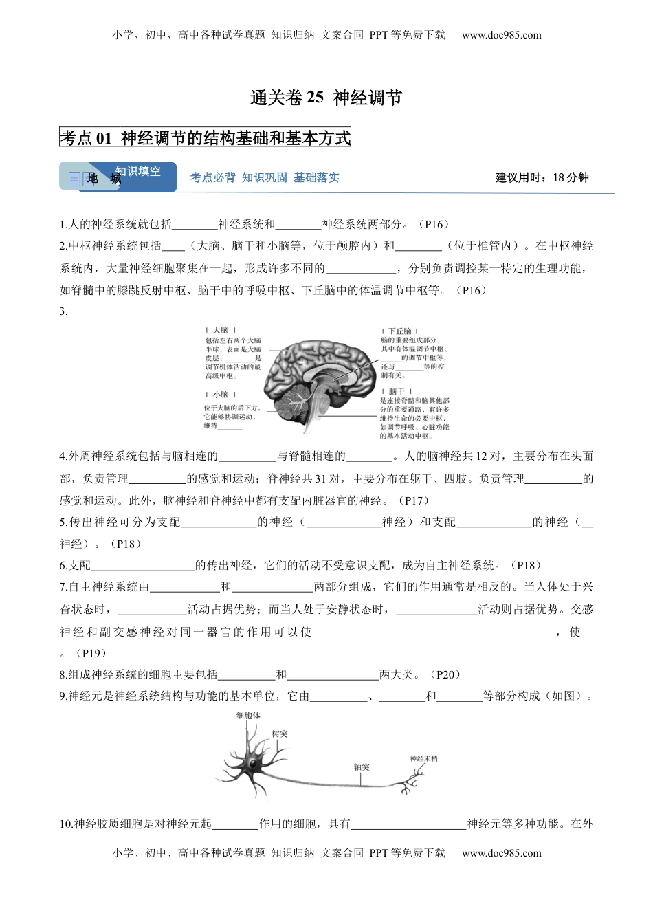 高考生物复习  考点通关卷25 神经调节（解析版）.docx