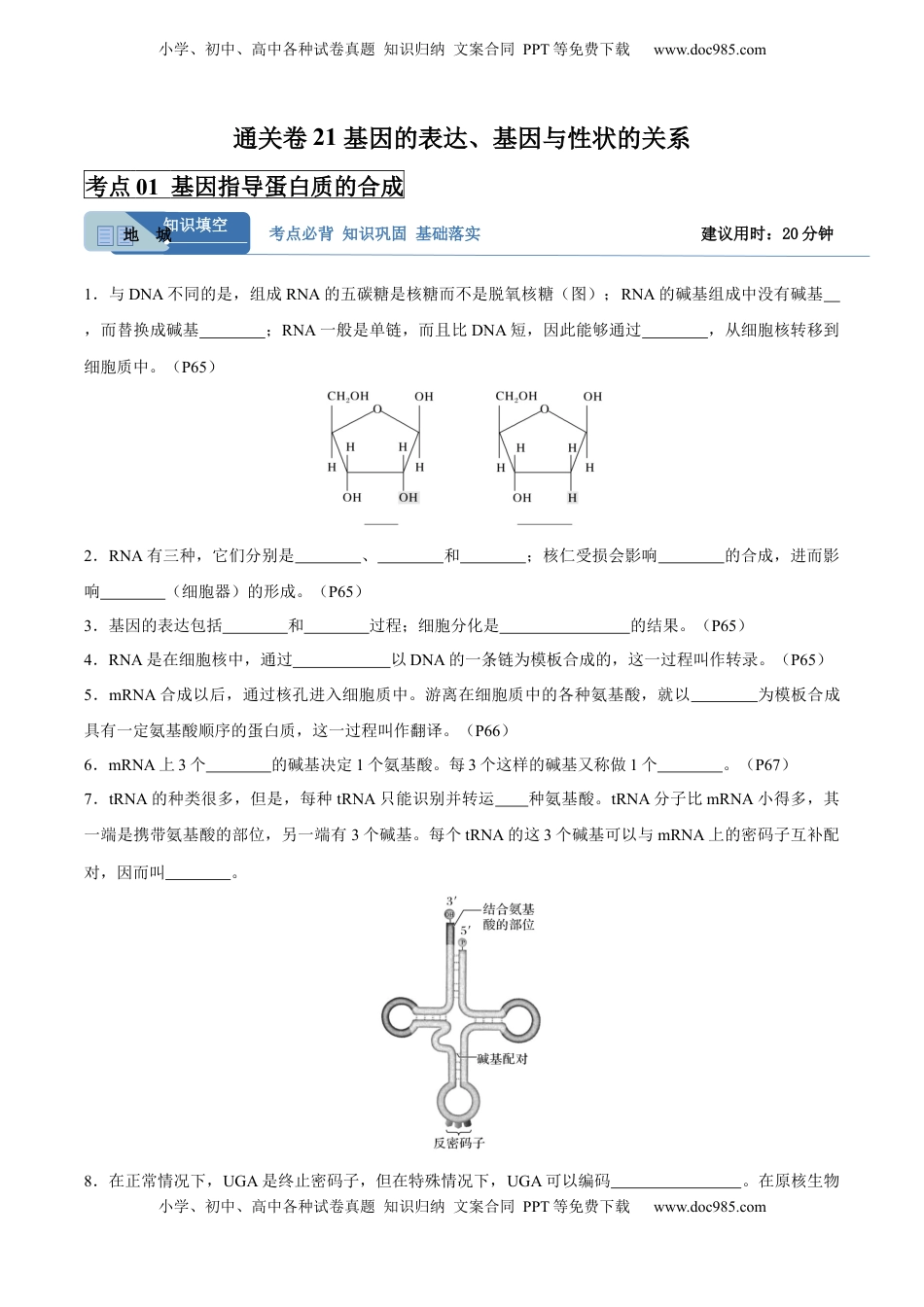 高考生物复习  考点通关卷21 基因的表达、基因与性状的关系（原卷版）.docx