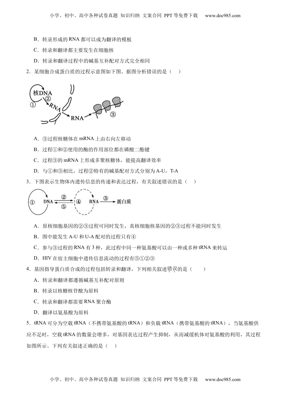 高考生物复习  考点通关卷21 基因的表达、基因与性状的关系（原卷版）.docx