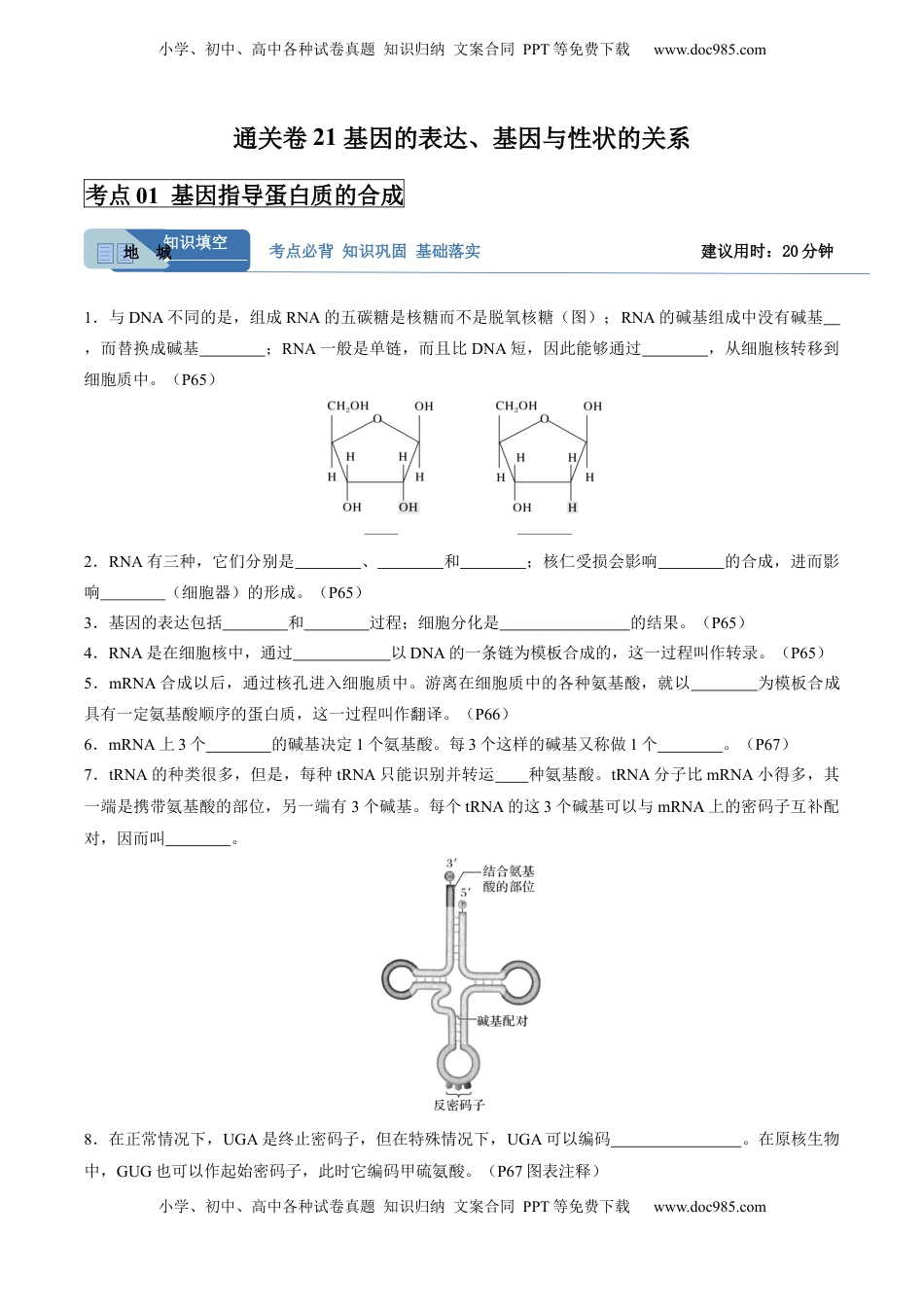高考生物复习  考点通关卷21 基因的表达、基因与性状的关系（解析版）.docx