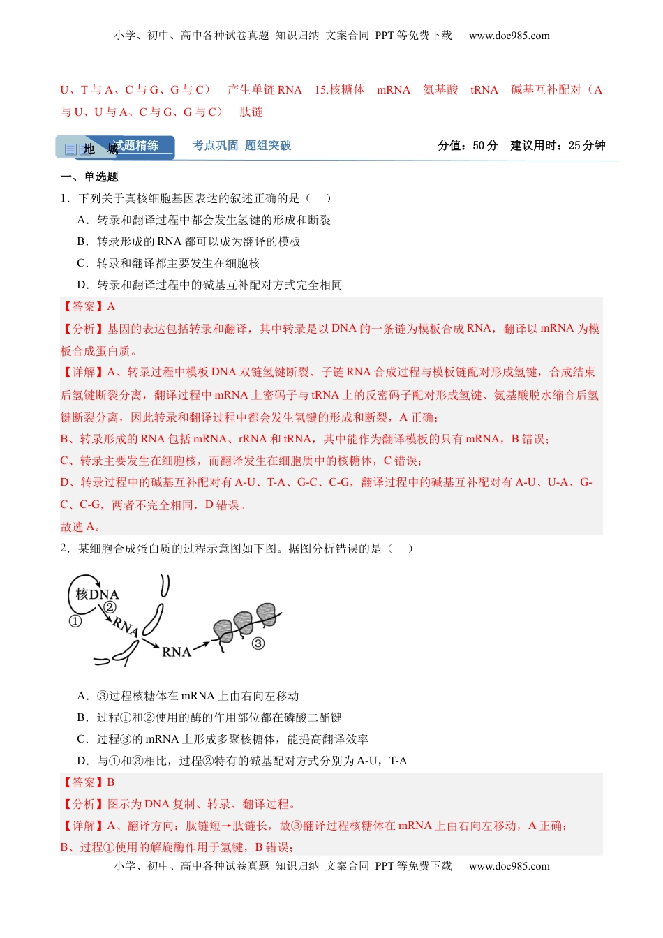 高考生物复习  考点通关卷21 基因的表达、基因与性状的关系（解析版）.docx