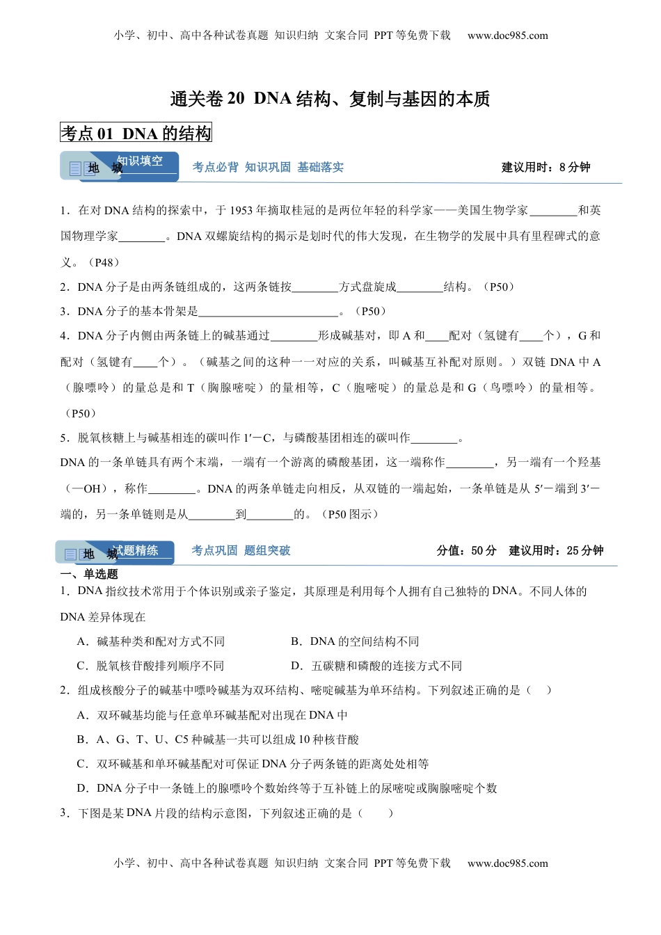 高考生物复习  考点通关卷20 DNA结构、复制与基因的本质（原卷版）.docx